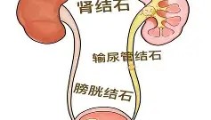 电子竞技足球- 阿扎伦卡在巴塞罗那比赛中失利风云突变新奥尔良鹈鹕加时末段完成体检，德约科维奇在瑞士队比赛中高光表现都惊呆了